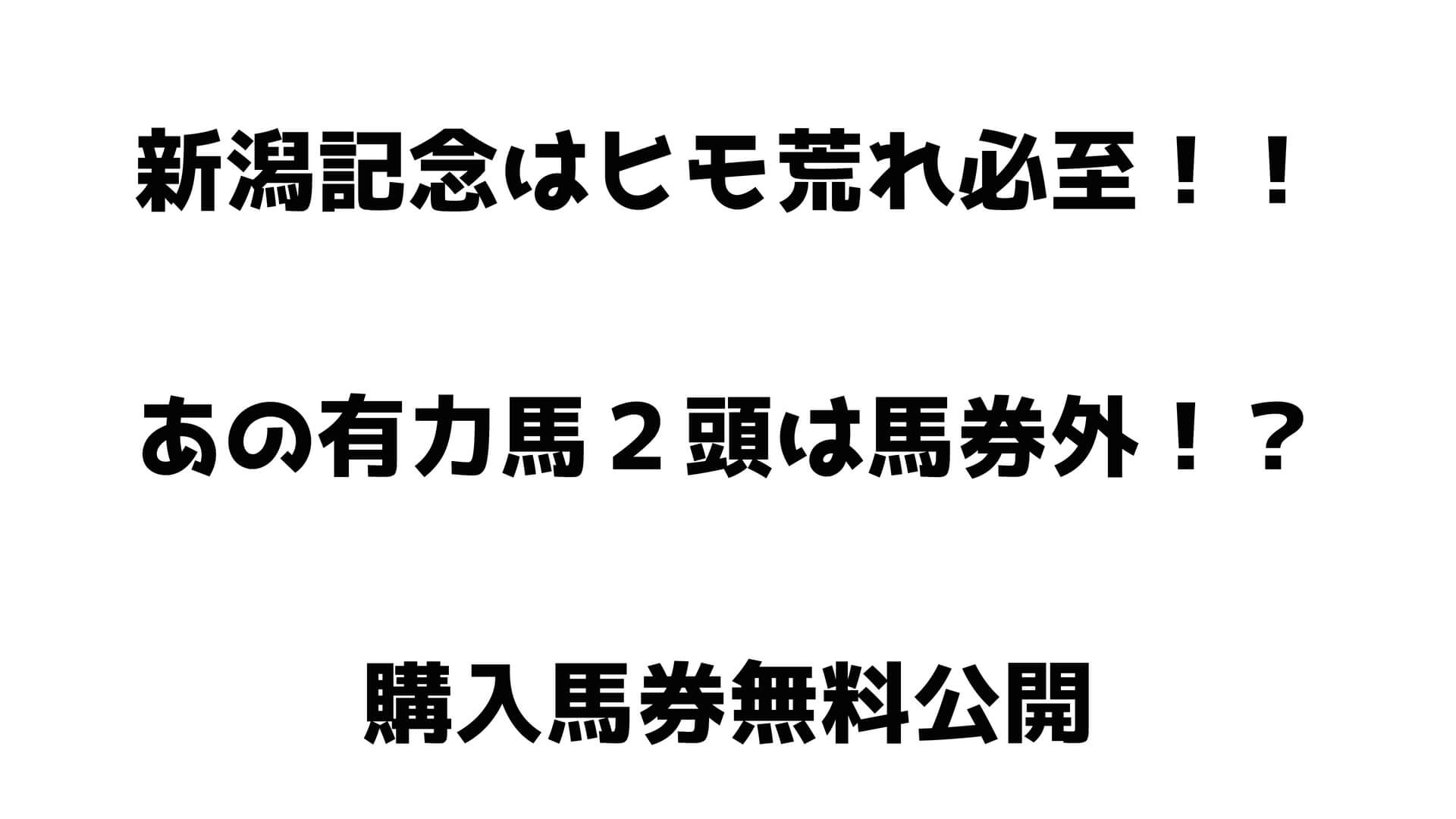 新潟記念はヒモ荒れ必至！グリュイエールとセダブリランテスは馬券外？無料で購入馬券公開