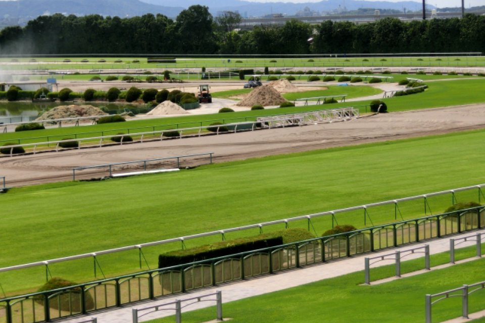 京都競馬場とは