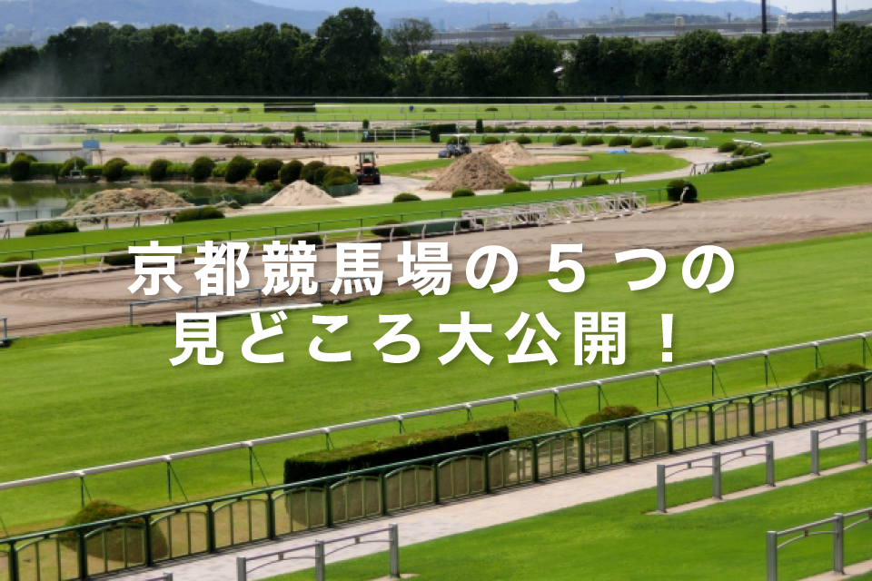 京都競馬場の5つの見どころ大公開！