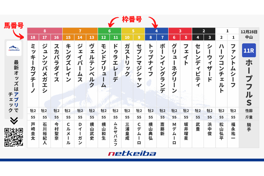 競馬馬単「枠連との違い」