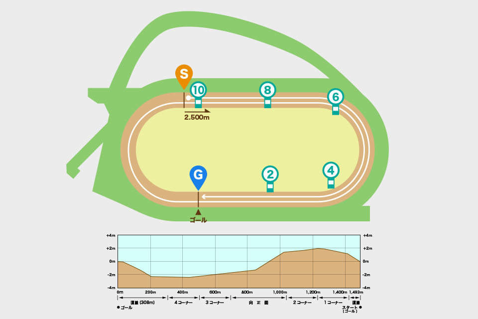 中山競馬場ダート2500mの概要・特徴