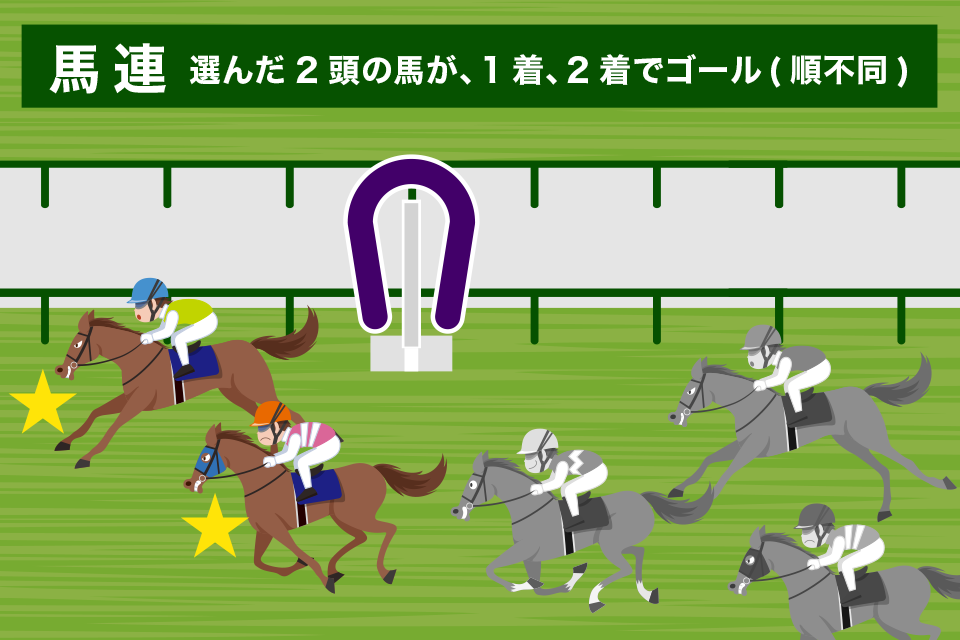 馬連とは？馬券の特徴を解説