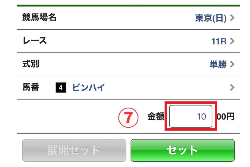 単勝馬券買い方スマホ版4