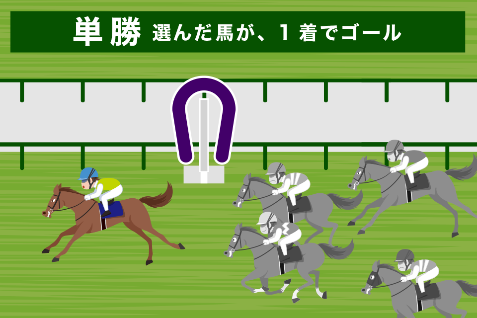 競馬の単勝とは？馬券の特徴を解説