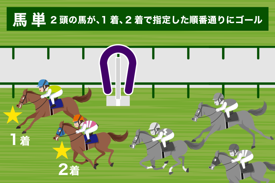 競馬の馬単とは？読み方と馬券の特徴を解説