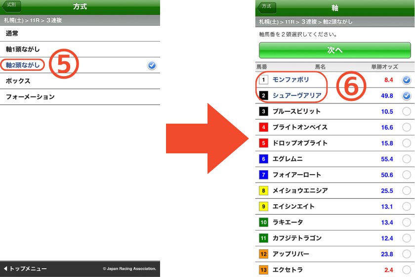 スマートフォンで三連複【2頭軸ながし】の馬券を購入する方法を解説する画像③