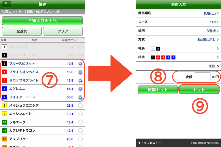 スマートフォンで三連複【2頭軸ながし】の馬券を購入する方法を解説する画像④