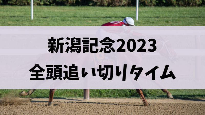 新潟記念2023追い切り（調教）