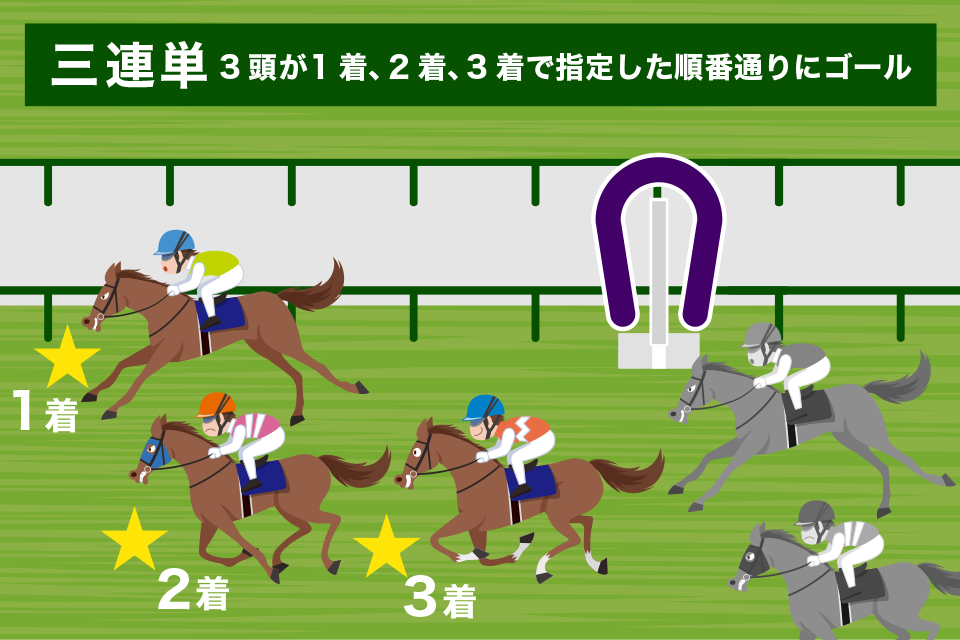 競馬の三連単とは？読み方と馬券の特徴を解説