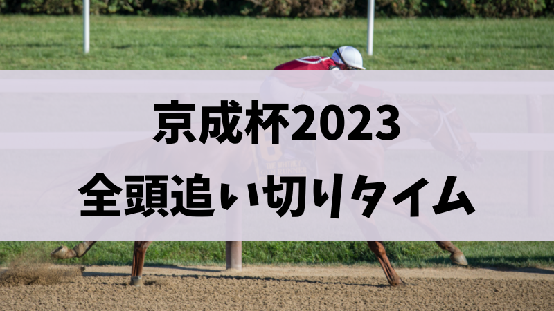 京成杯オータムハンデ2023追い切り（調教）