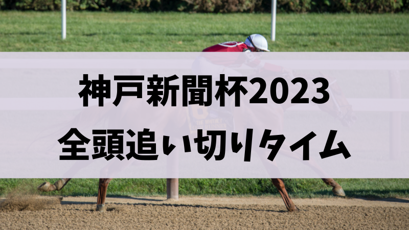 神戸新聞杯2023追い切り（調教）