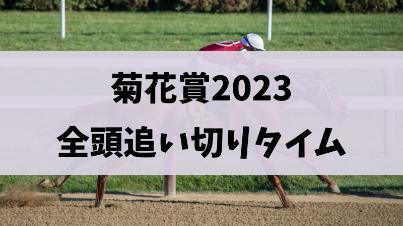 菊花賞2023追い切り・調教