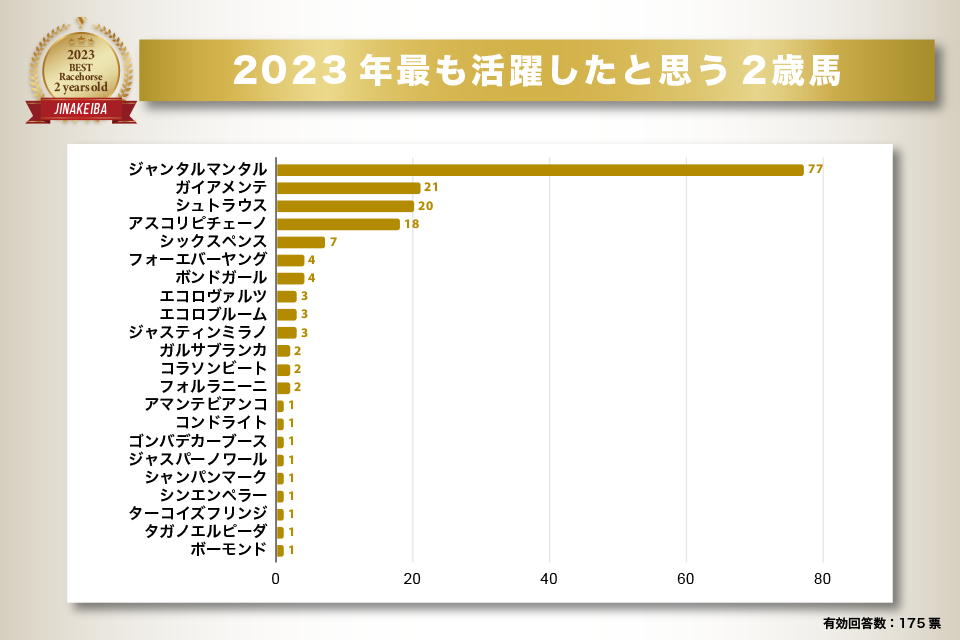 2023年最も活躍したと思う2歳馬
1位：ジャンタルマンタル