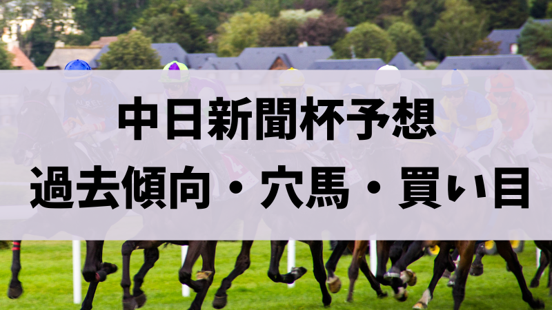 中日新聞杯2023予想