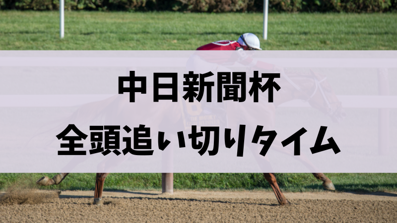 中日新聞杯2023追い切り・調教