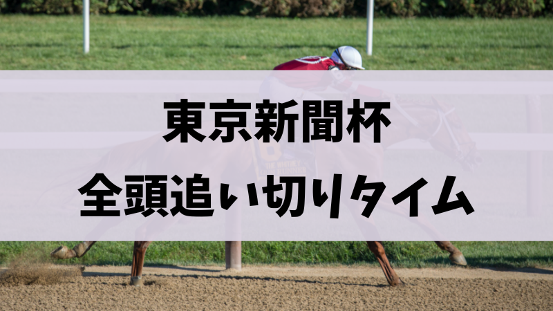 東京新聞杯2024追い切り・調教