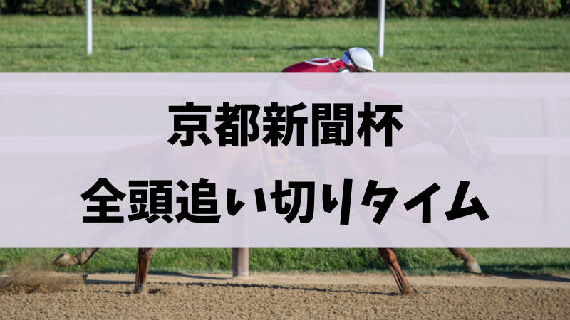 京都新聞杯2024追い切り・調教